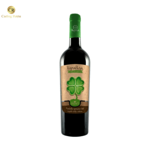 Vang Ý Vignapura Puglia IGP Primitivo Biologico 2021