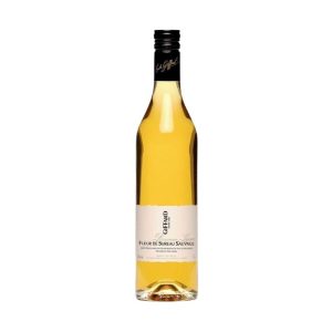 Liqueur Fleur de Sureau Sauvage