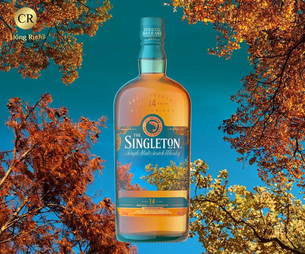 Singleton 14 Năm - Special Release 2024 4 Singleton 14 Năm - Special Release 2024