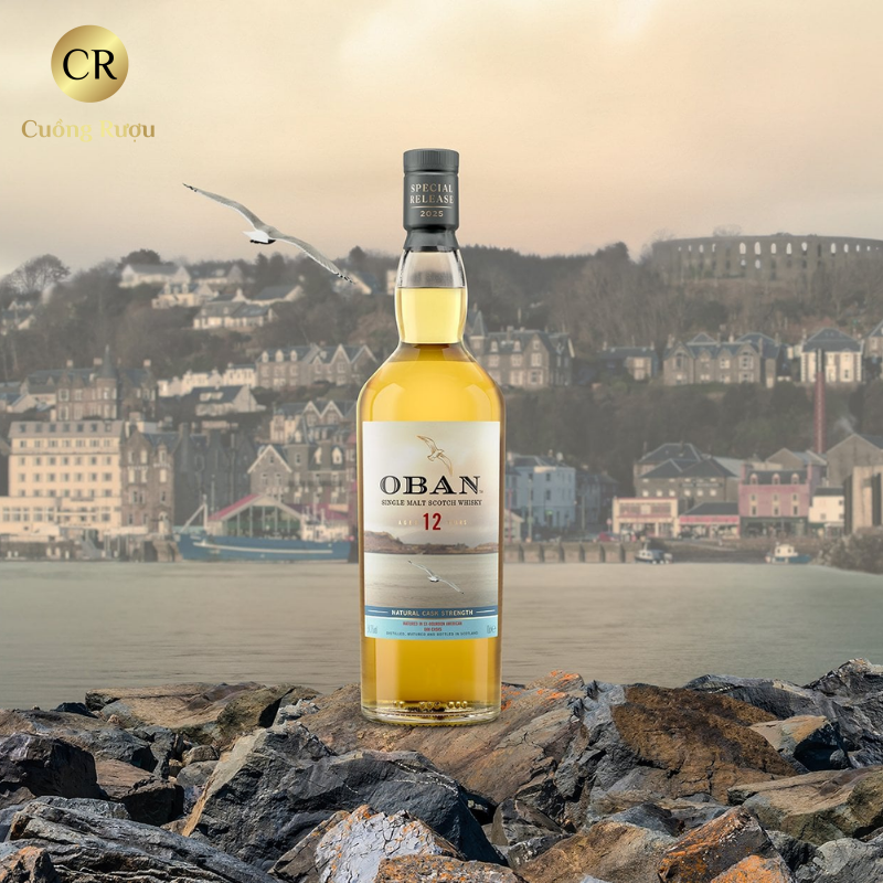 Oban 12 Năm - Special Release 2025 3 Oban 12 Năm - Special Release 2025